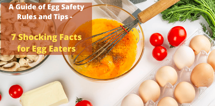 A Guide of Egg Safety Rules and Tips - 7 Shocking Facts for Egg Eaters
