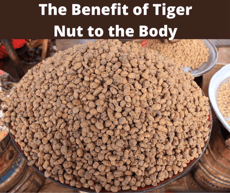 The Benefit of Tiger Nut to the Body