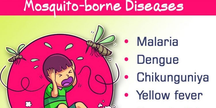 yellow fever and malaria