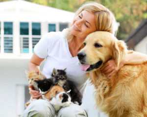 foster responsible pet ownership