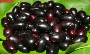 blackberry skin benefits