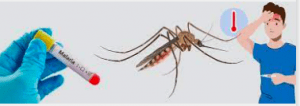 how is intermittent malaria fever diagnosed?
