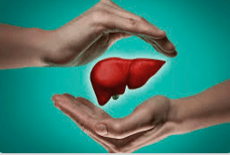 Liver Health: