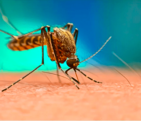 Malaria and Climate Change