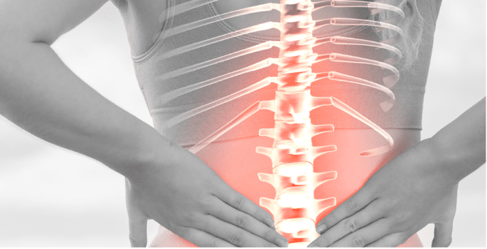 Role of Nutrition in Maintaining Spinal Cord Health