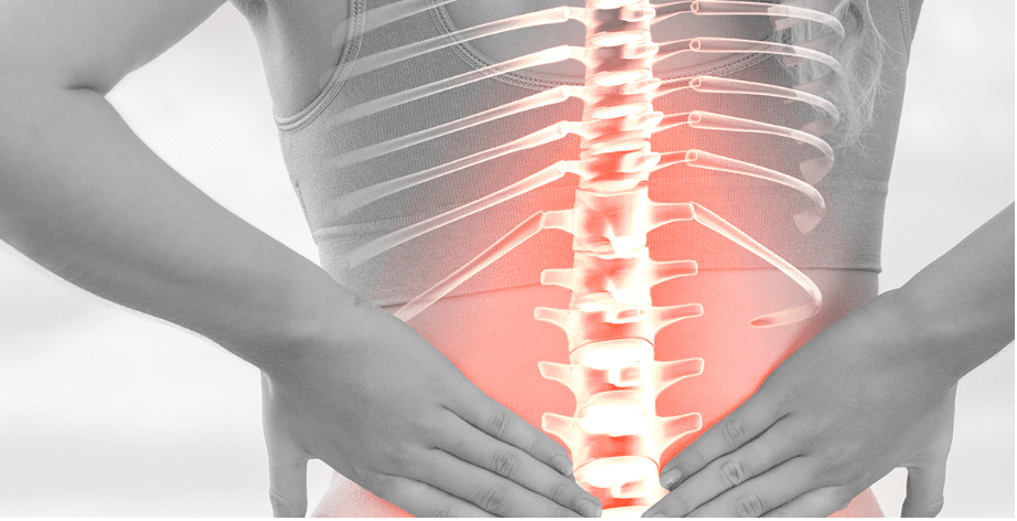 role of nutrition in maintaining spinal cord health