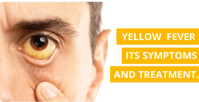can yellow fever spread from person to person
