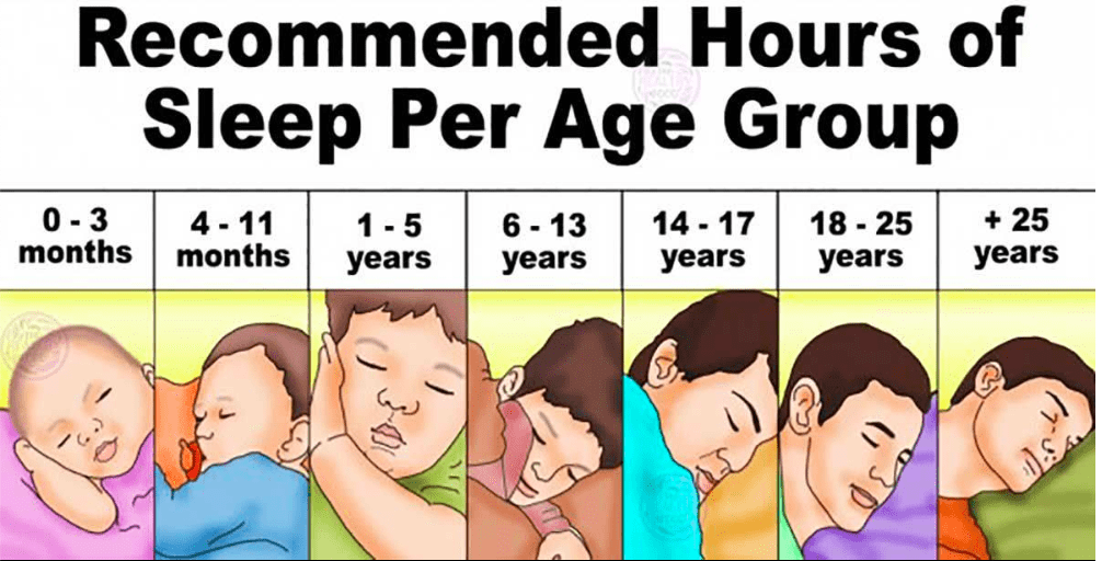 Hours of Sleep Do You Really Need