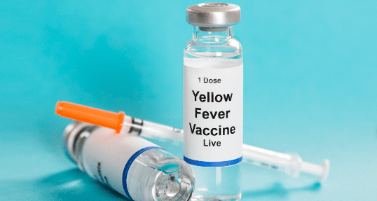 Importance of Yellow Fever Vaccination
