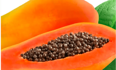 health benefits of pawpaw seed