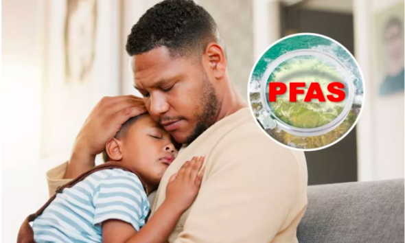 Fathers' Exposure to 'Forever Chemicals