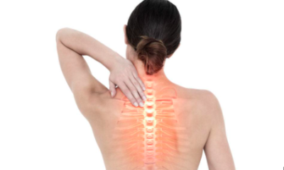 Understanding Back Pain