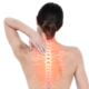 Understanding Back Pain