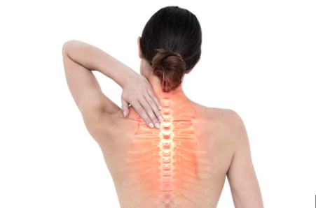 Understanding Back Pain