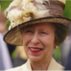 Princess Anne Sustains Minor Injuries