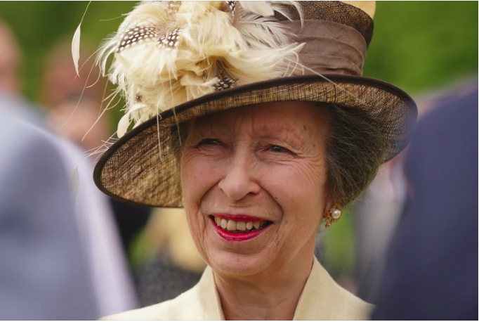 Princess Anne Sustains Minor Injuries