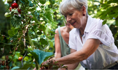 91-Year-Old Vinton Woman Inspires Through Gardening