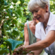 91-Year-Old Vinton Woman Inspires Through Gardening