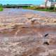 the Risks of Fecal Contamination in Floodwaters