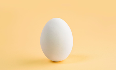 A Daily Egg May Boost Brain Health