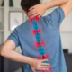 Understanding the Spine