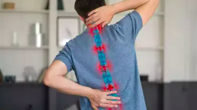 Understanding the Spine