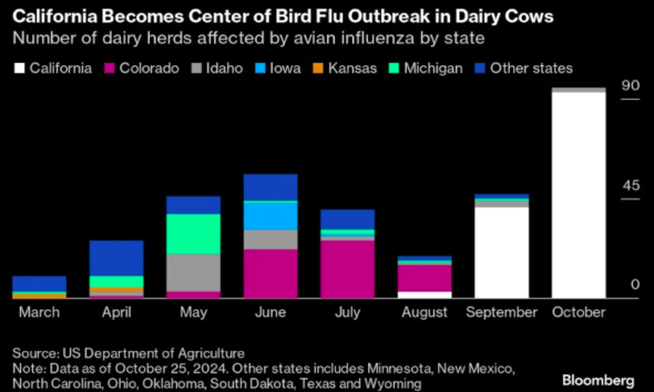 California's Bird Flu Crisis in Cattle