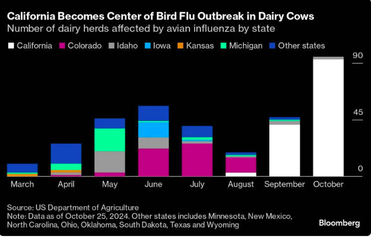 California's Bird Flu Crisis in Cattle